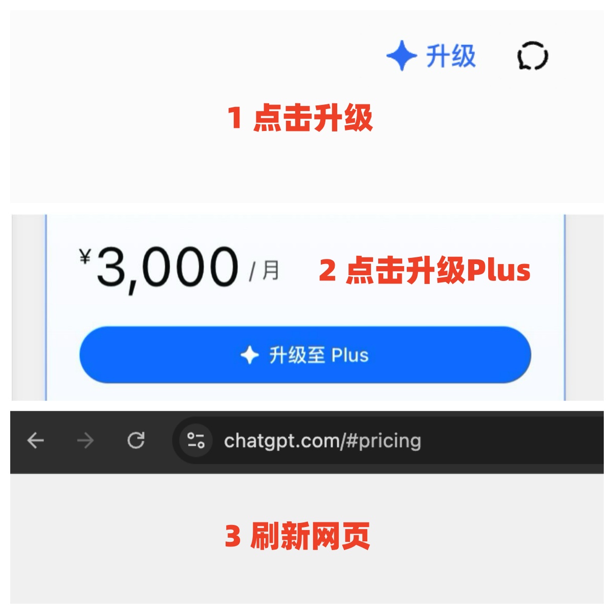 刷新会员状态流程：点击升级、点击升级至 Plus、刷新网页